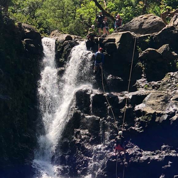 Meet your Posher, Celeste a Traveler - Picture 4 of 7